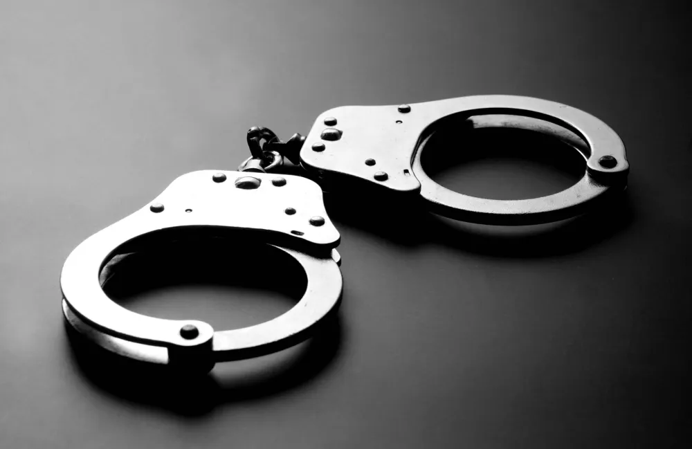 Uhap&scaron;en aktivni policajac iz Herceg Novog, osumnjičen za zelena&scaron;tvo