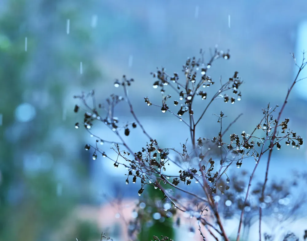 (VIDEO) Sjutra oblačno sa ki&scaron;om, temperatura do 24 stepena