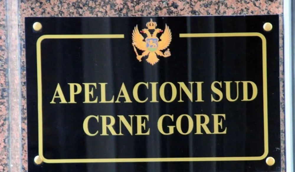 Danijela Vukčević na čelu Apelacionog suda pola godine