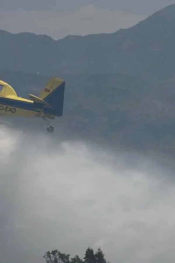   Jedan avion leti, od juna bi trebalo jo&scaron; dva