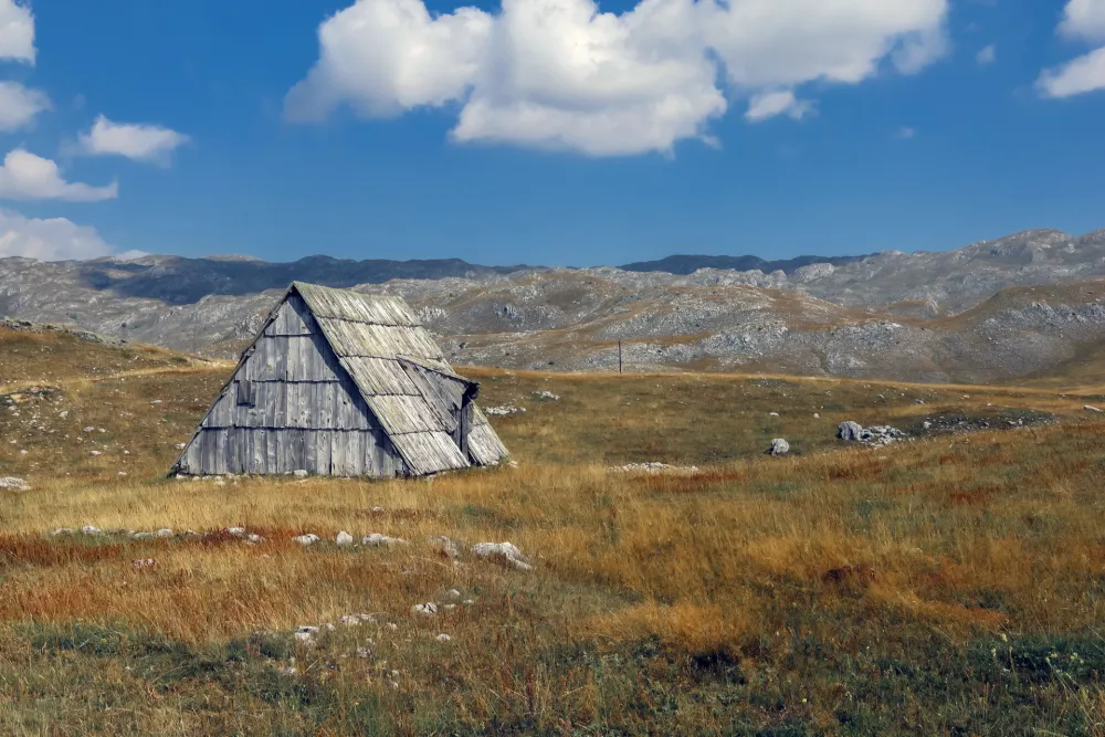 Fotografija Fotografija Aleksandre Jokanović Korać
