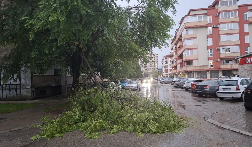 Jak vjetar u Nikšiću obarao stabla: Oštećena vozila i obustavljen saobraćaj