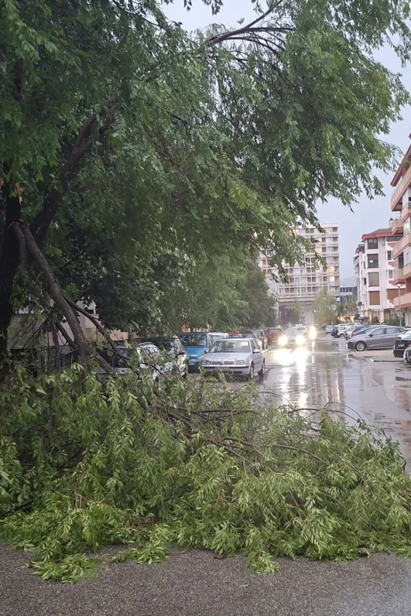 Jak vjetar u Nik&scaron;iću obarao stabla: O&scaron;tećena vozila i obustavljen saobraćaj