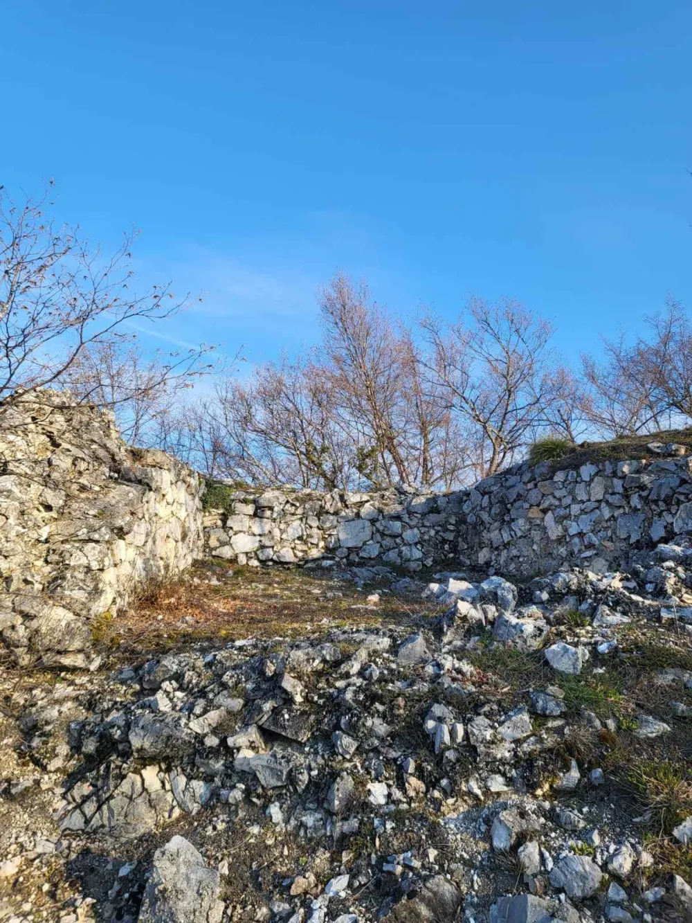 Zaraslo u korov i tajne: Nadležni "skrivaju" Bihor-grad od očiju javnosti