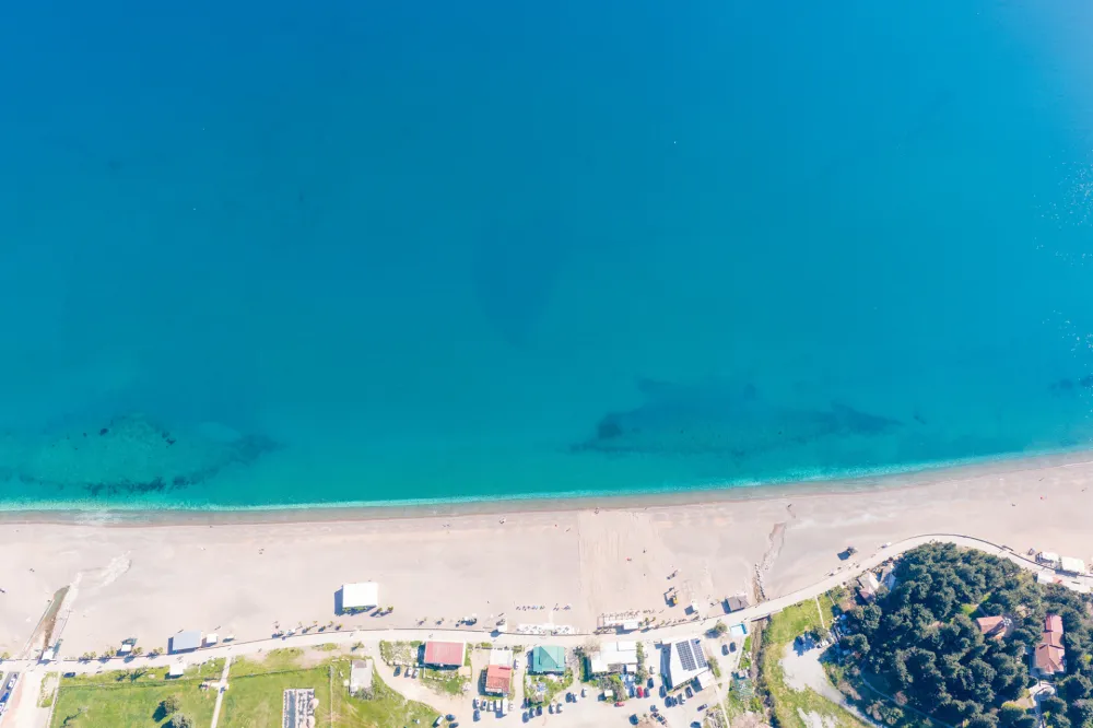 EXIT to Montenegro 