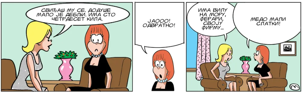 Mirko Zulić strip Dana