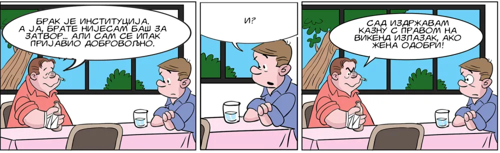 Mirko Zulić strip Dana