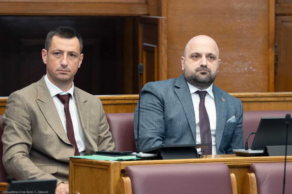 Božović: Neophodan novi zakon o oduzimanju imovine stečene kriminalom