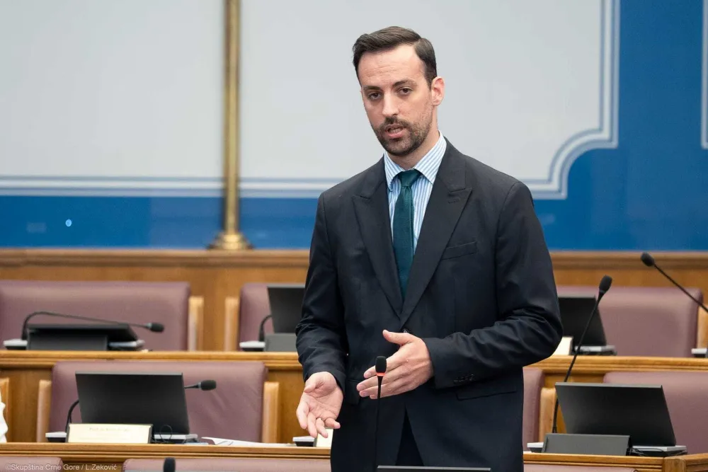 Zirojević: Kad bih se vodio saznanjima koja imam kao član Odbora za bezbjednost i odbranu, Koprivica bi mi bio posljednja adresa za razgovor