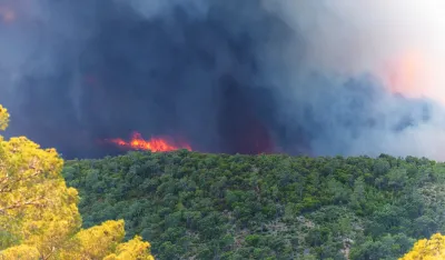 (VIDEO) Jug Francuske: Vatrogasci se bore sa velikim &scaron;umskim požarom