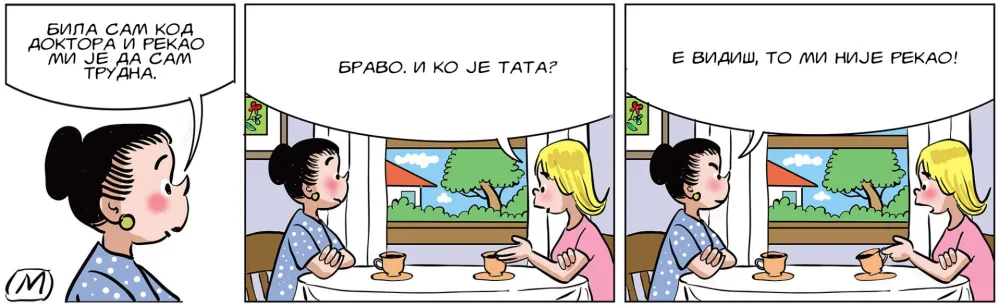 Strip Dana - Autor: Mirko Zulić