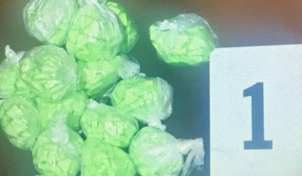 U Ulcinju uhapšena 23 lica, zaplijenjena droga i pojačane kontrole