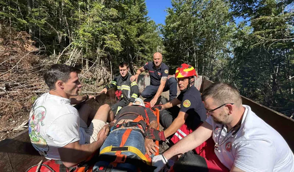 Spasioci izvukli muškarca na kojeg je u šumi palo drvo