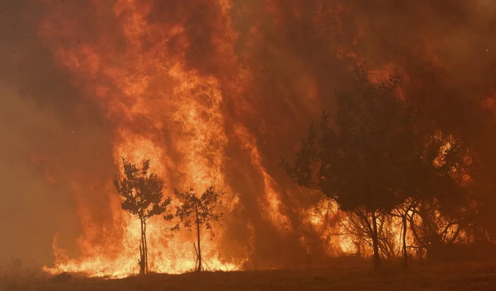 Najmanje 12 ljudi poginulo u šumskom požaru na jugu Španije