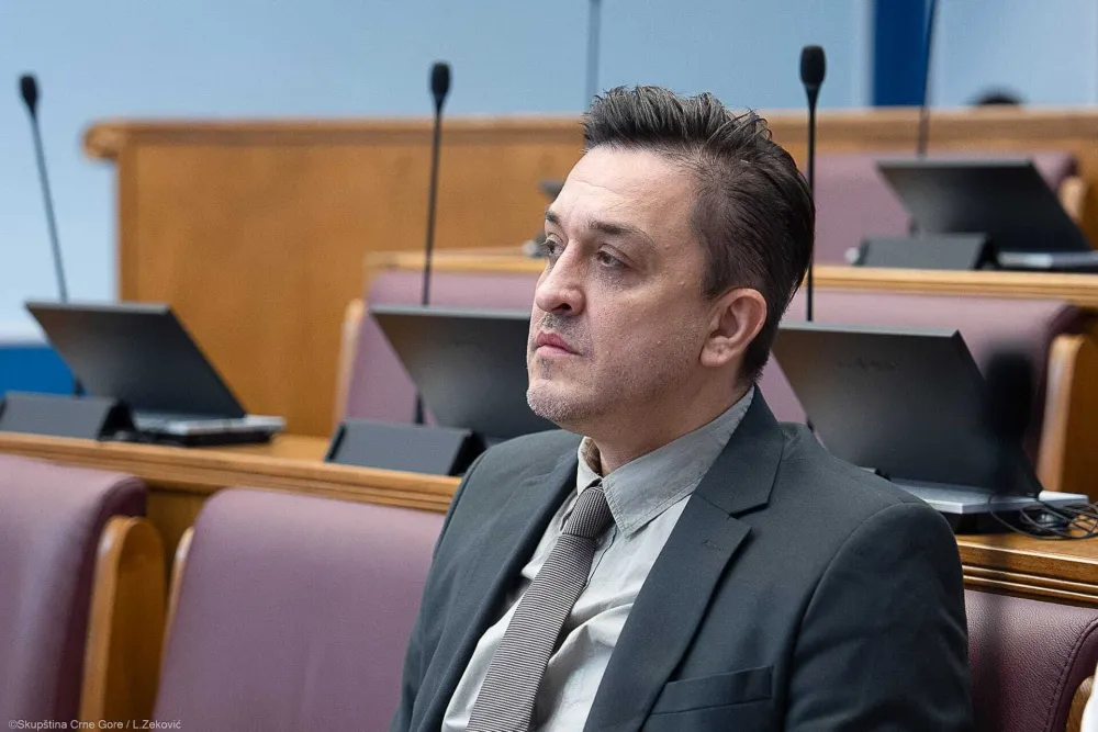 Vuković: Cilj je modernizacija crnogorskog platnog sistema