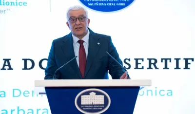 Mandić: Slijedi 30 dana rasprave o ustavnim promjenama, očekujem argumentovanu pomoć struke