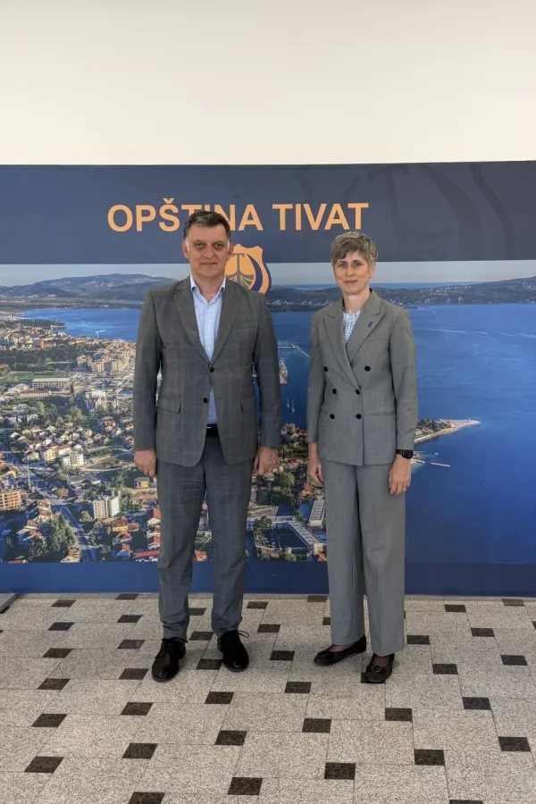 Komnenović: Tivat jedini ispunjava uslove za sticanje statusa grada