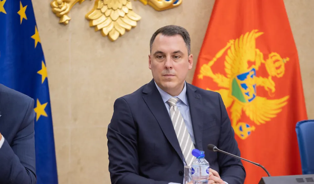 Vuković za "Dan": Vlast se bavila svime osim evropskom agendom