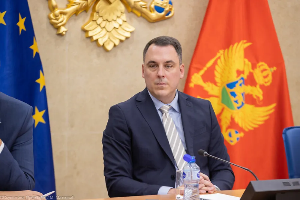 Vuković za "Dan": Vlast se bavila svime osim evropskom agendom