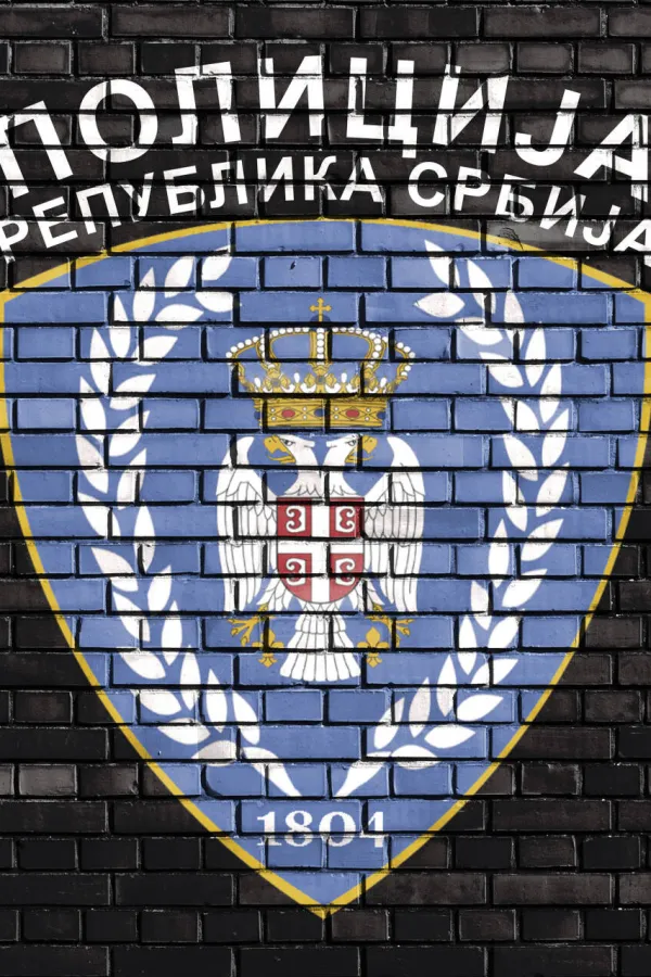 Stravičan sudar u Srbiji: Jedna osoba poginula, sedmoro povrijeđeno