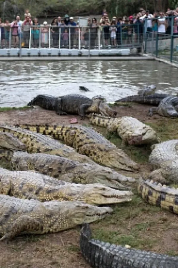 Krokodili Čuvari zatvora