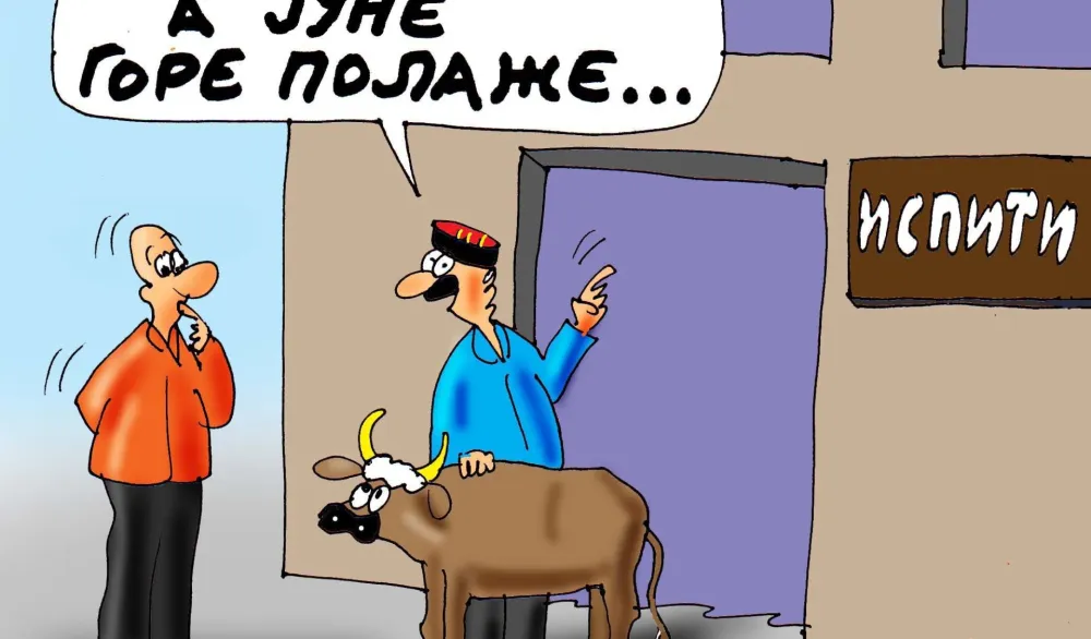 Karikatura