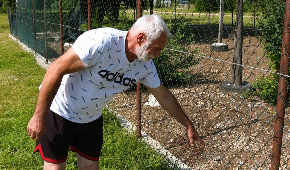 Čopor pasa lutalica usmrtio više od 100 koka nosilja i napravio veliku štetu porodici Popović iz Nikšića