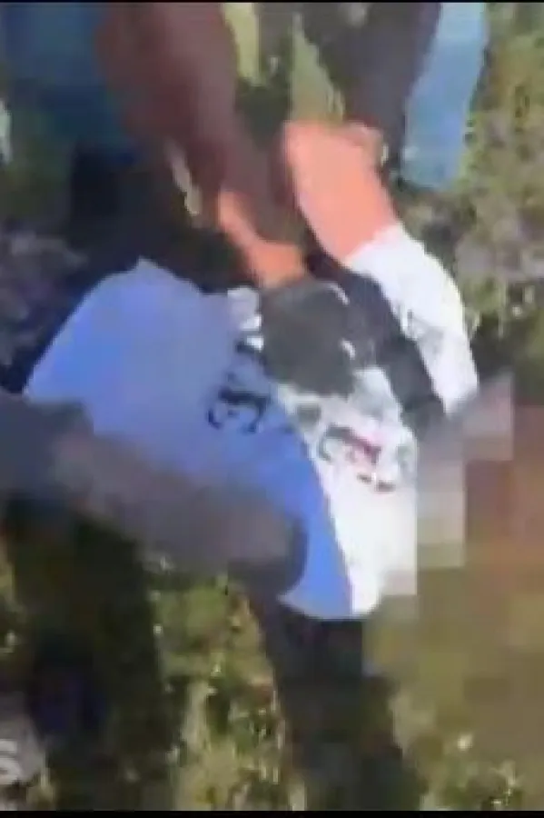 Velika zapljena droge u Beogradu: Pronađeno 13 kilograma kokaina i heroina, uhap&scaron;en mladić