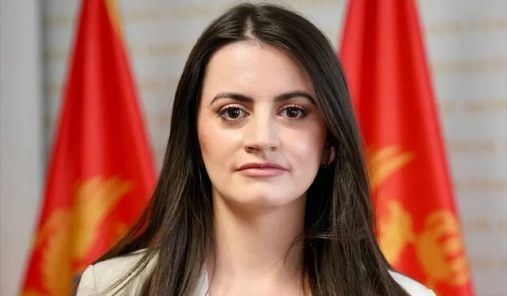 Vesković: Najavljene izmjene bezbjednosnih zakona prilika za unapređenje pojedinih rješenja