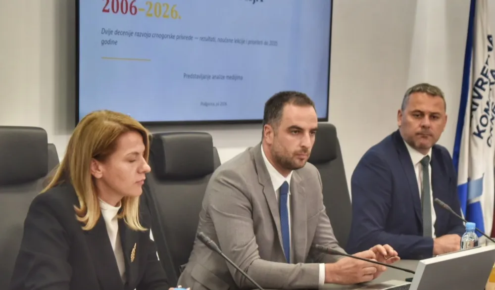 Lična potrošnja digla BDP, proizvodnja u padu